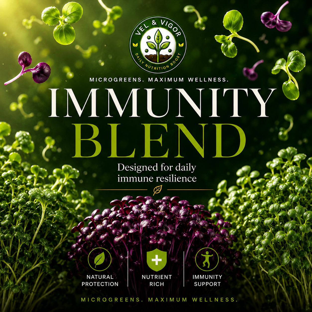 Immunity Blend